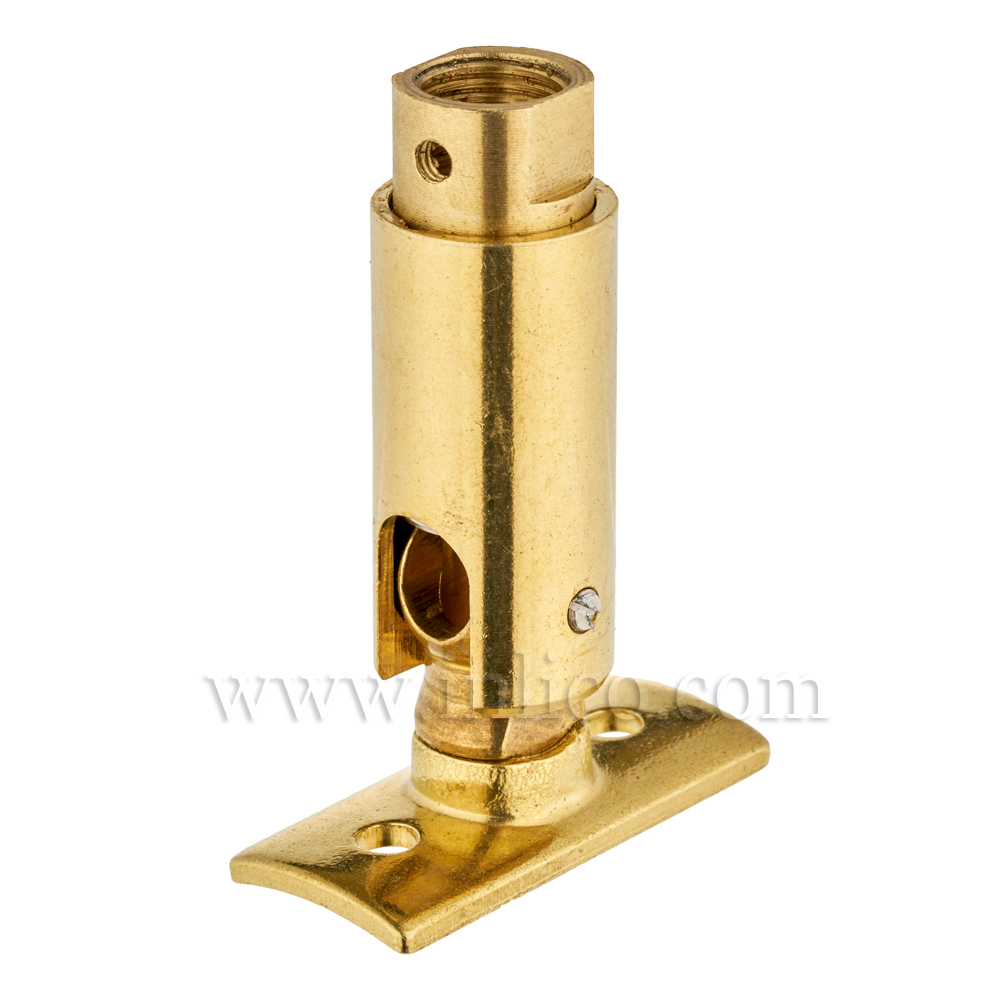 Knuckle Joint with Back Plate INLICO LTD